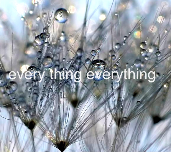 Stephanie Rearick - every thing everything